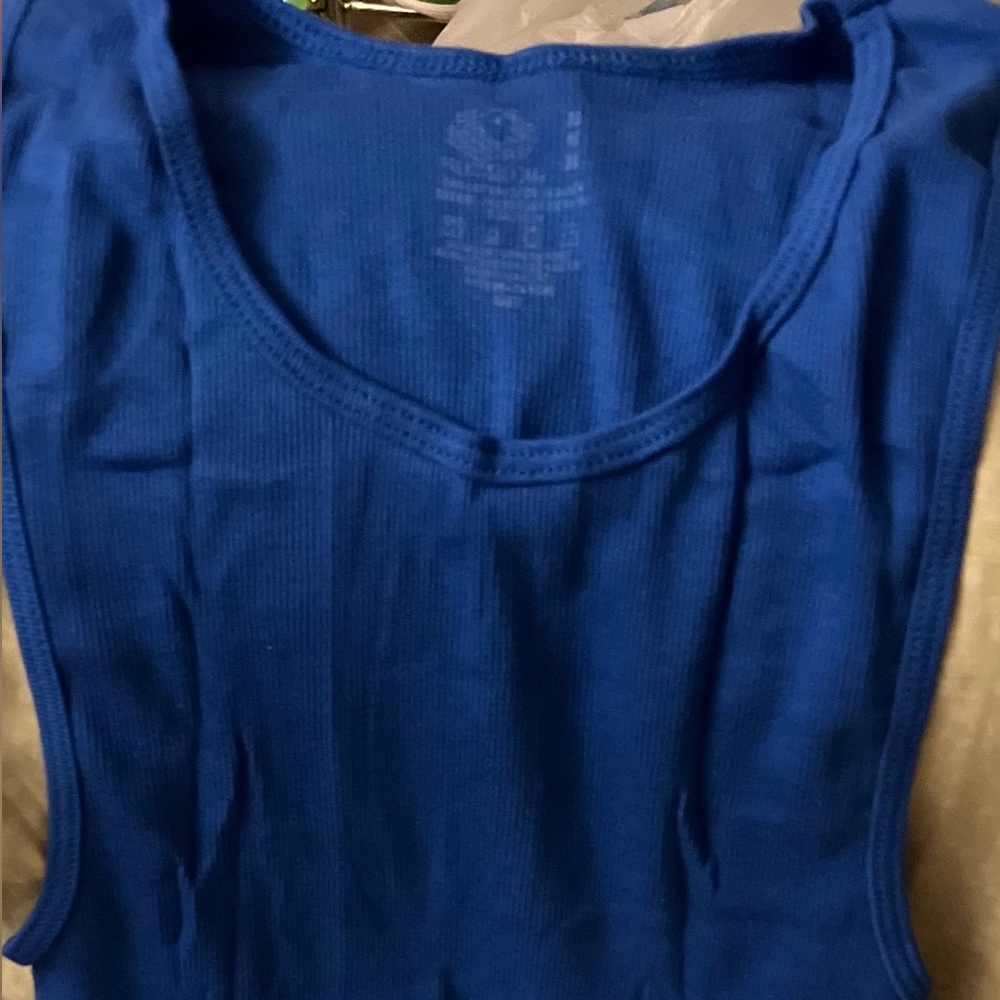 Fruit Of The Loom Blue Tank Top (Medium)
